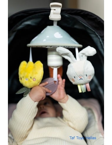 TAF TOYS Garden Pram Mobile