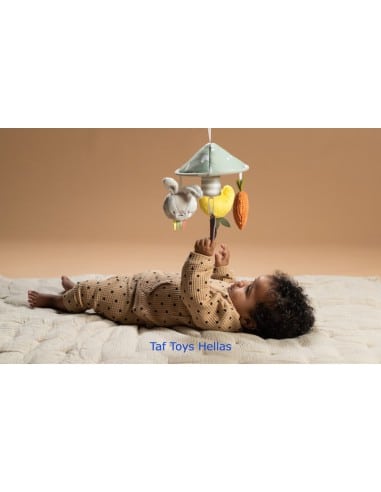 TAF TOYS Garden Pram Mobile