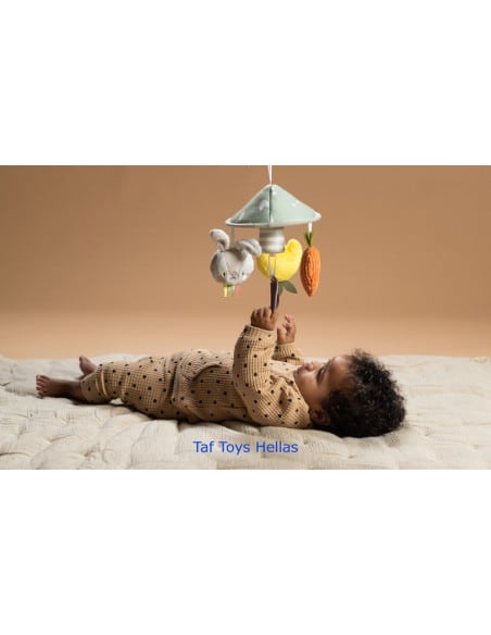 TAF TOYS Garden Pram Mobile