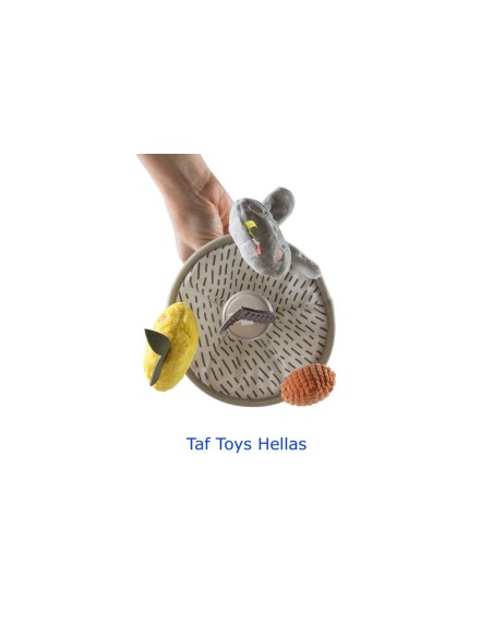 TAF TOYS Garden Pram Mobile