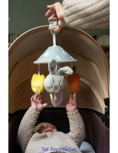 TAF TOYS Garden Pram Mobile