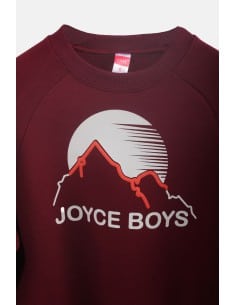 JOYCE Παιδικό Φούτερ Γκρενά 2
