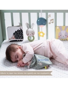 Taf Toys Bedtime Kit 2