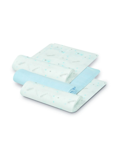 INTERBABY Πάνες Αγκαλιάς Bamboo 55x70 Σετ 3 Τεμ...