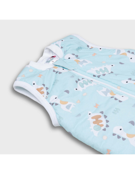 TENDER Υπνόσακος Χειμωνιάτικος Classic 2.5 Tog Dino World Blue